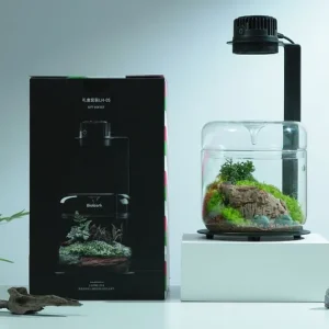 Bioloark Wabi-Kusa Set, Gift Box LH-05 Must-Have